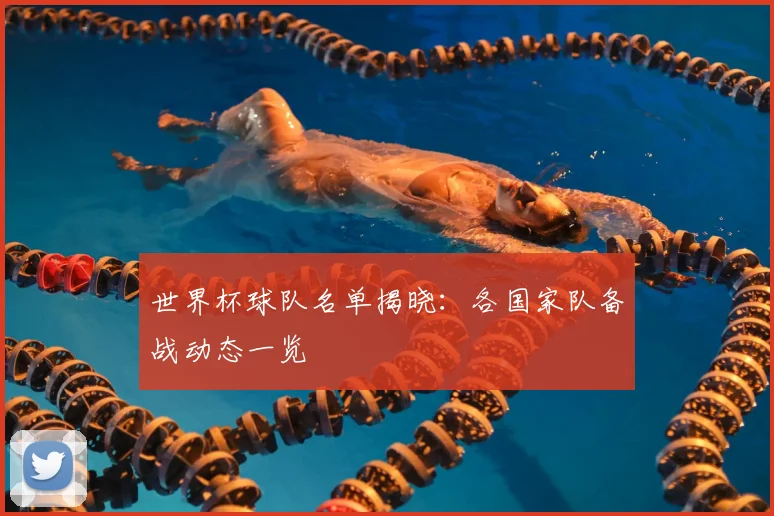 世界杯球队名单揭晓：各国家队备战动态一览
