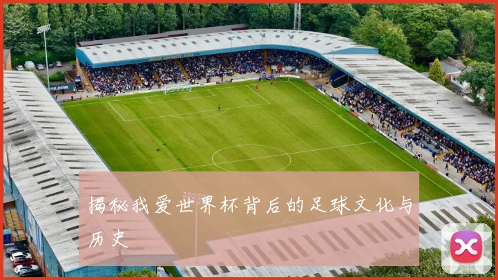 揭秘我爱世界杯背后的足球文化与历史