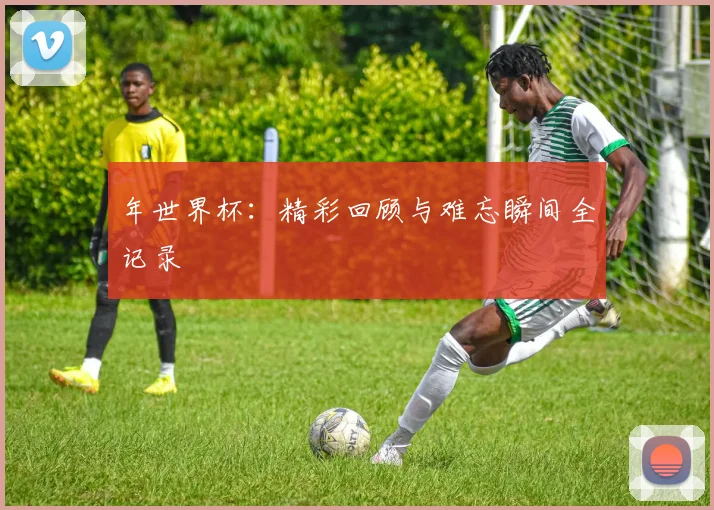 年世界杯：精彩回顾与难忘瞬间全记录